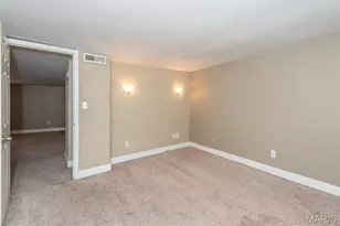 3712 S Jefferson Ave, Saint Louis, MO 63118 - Photo 43