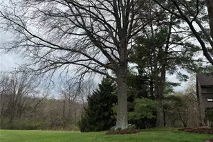 217 Creek Bottom Rd, Labadie, MO 63055 - Photo 69