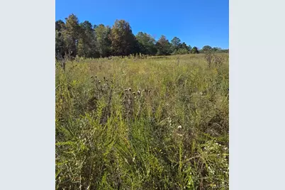 000 County Road 455, Birch Tree, MO 65438 - Photo 7