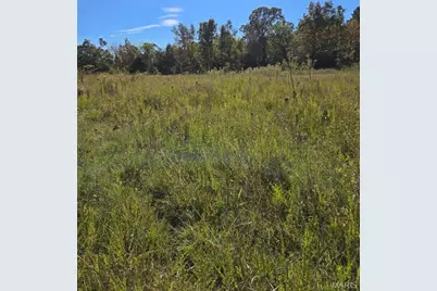 000 County Road 455, Birch Tree, MO 65438 - Photo 11