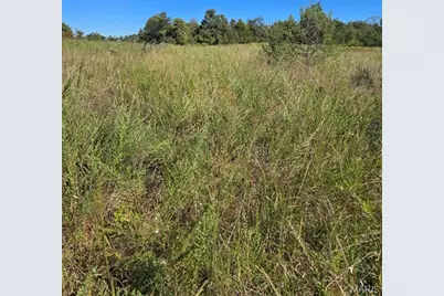 000 County Road 455, Birch Tree, MO 65438 - Photo 13