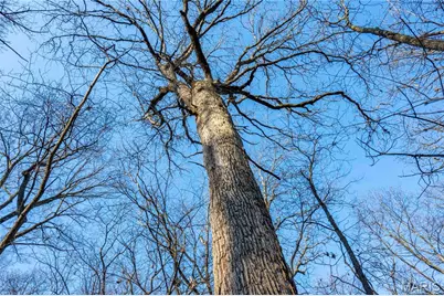 00 Highway B Highway, Elsberry, MO 63343 - Photo 41