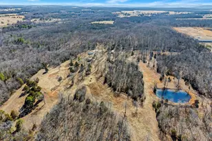 4873 Pebble Ln, Farmington, MO 63640 - Photo 9