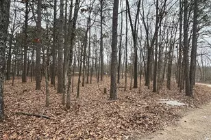 10246 Sawmill Rd, Potosi, MO 63664 - Photo 5