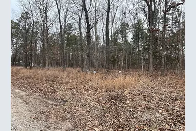 10246 Saw Mill Road, Potosi, MO 63664 - Photo 3