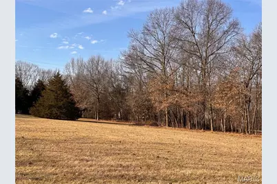 3+/- Acres Hwy O, Wright City, MO 63390 - Photo 9