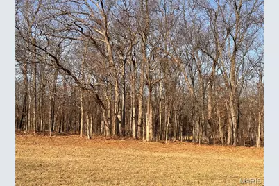 3+/- Acres Hwy O, Wright City, MO 63390 - Photo 7