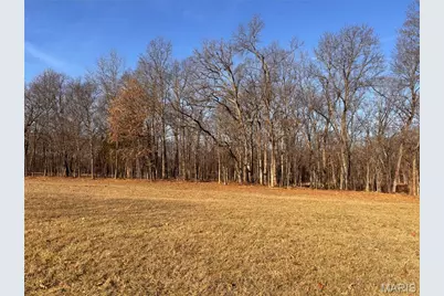 6+/- Acres Hwy O, Wright City, MO 63390 - Photo 5