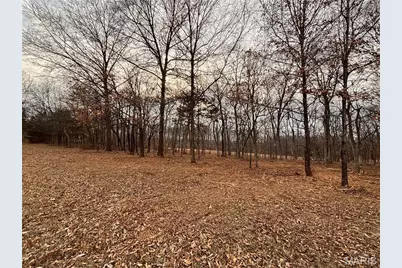 6+/- Acres Hwy O, Wright City, MO 63390 - Photo 9