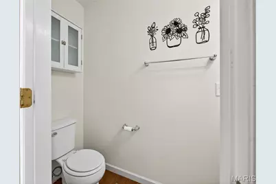 728 English Ivy, O'Fallon, MO 63368 - Photo 3