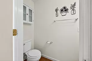 728 English Ivy, O'Fallon, MO 63368 - Photo 3