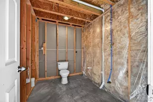 728 English Ivy, O'Fallon, MO 63368 - Photo 31