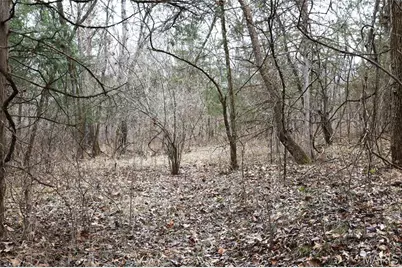 00 Roderick Road, Cadet, MO 63630 - Photo 15