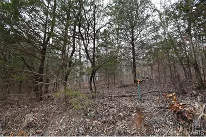 00 Roderick Road, Cadet, MO 63630 - Photo 29