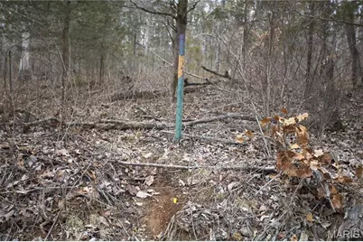 00 Roderick Road, Cadet, MO 63630 - Photo 11