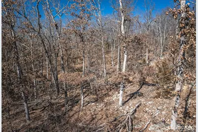 58 State Highway F, Potosi, MO 63664 - Photo 23