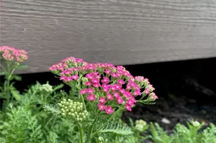 2858 Dardenne Links Dr, O'Fallon, MO 63368 - Photo 35