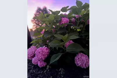 2858 Dardenne Links Drive, O'Fallon, MO 63368 - Photo 39