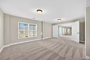 503 Spruce Holw Ct, Wentzville, MO 63385 - Photo 47