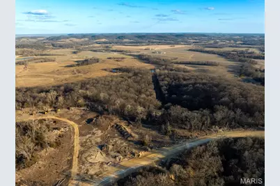 11742 Highway D, Louisiana, MO 63353 - Photo 15