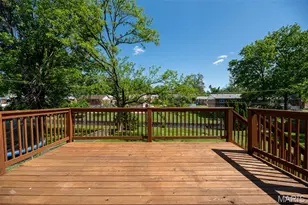 9041 Lemona Dr, Saint Louis, MO 63123 - Photo 13