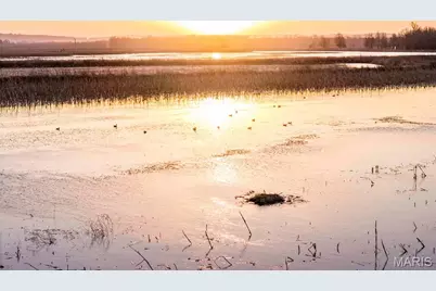 00 Mo-M, Elsberry, MO 63347 - Photo 5