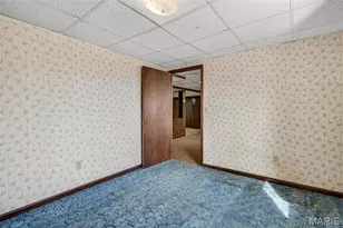 1508 St Francois Rd, Bonne Terre, MO 63628 - Photo 35