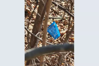 6 +/- Ac S Highway 94, Augusta, MO 63332 - Photo 13