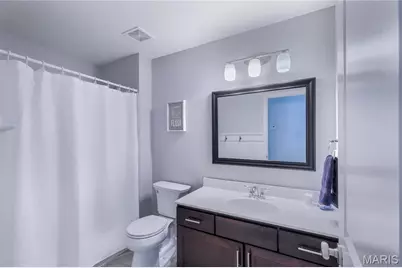 424 Julian Place, Kirkwood, MO 63122 - Photo 37