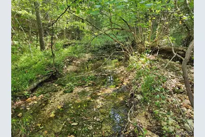 10282 Annette Avenue, Potosi, MO 63664 - Photo 3