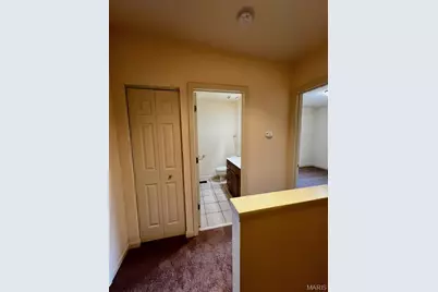 2307 S 10th Street, Saint Louis, MO 63104 - Photo 9