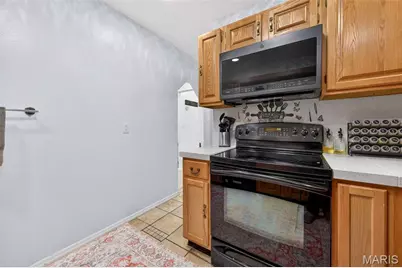 1601 Country Hill Lane, Ballwin, MO 63021 - Photo 17