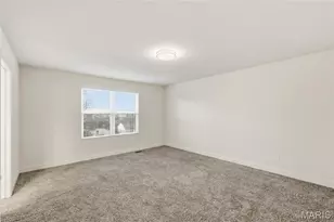 312 Chestnut Creek Cir, Dardenne Prairie, MO 63368 - Photo 49