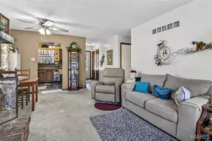 513 Rue Montalivet, Bonne Terre, MO 63628 - Photo 11