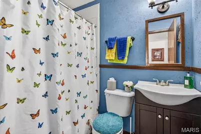 513 Rue Montalivet, Bonne Terre, MO 63628 - Photo 27