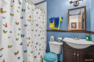 513 Rue Montalivet, Bonne Terre, MO 63628 - Photo 27