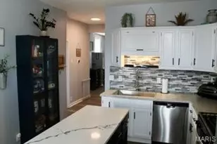 5008 Alabama Ave, Saint Louis, MO 63111 - Photo 9