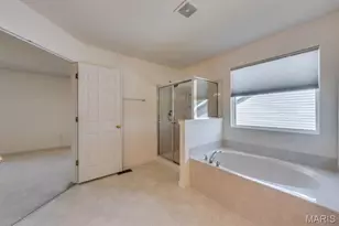 253 Village Creek Dr Dr, Ballwin, MO 63021 - Photo 43