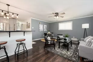 6564 Villa Ave, Saint Louis, MO 63139 - Photo 5