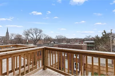 3002 California, Saint Louis, MO 63118 - Photo 21