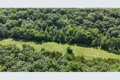 1956 Tanglefoot Farms Road, Festus, MO 63028 - Photo 1