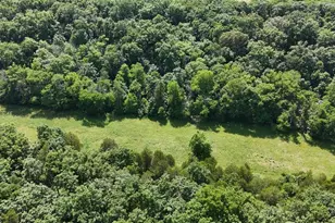 1956 Tanglefoot Farms Rd, Festus, MO 63028 - Photo 1