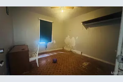 3623 S Spring Avenue, Saint Louis, MO 63116 - Photo 13