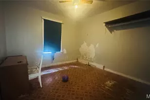 3623 S Spring Ave, Saint Louis, MO 63116 - Photo 13