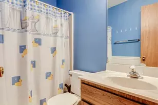 2831 Plum Leaf Cir, Saint Peters, MO 63303 - Photo 27