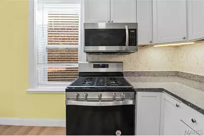 4435 Itaska Street, Saint Louis, MO 63116 - Photo 41