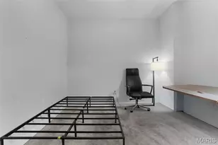 2705 Wyoming St, Saint Louis, MO 63118 - Photo 21