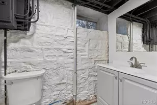 3903 Prather Ave, Saint Louis, MO 63109 - Photo 57