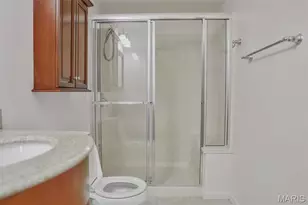 1341 Cherry Glen Ct, Chesterfield, MO 63017 - Photo 37