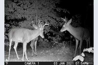 16072 State Hwy F, Potosi, MO 63664 - Photo 59